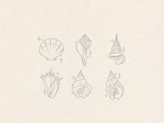 a drawing of seashells drawn on paper