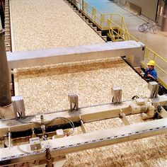 an assembly line in a factory filled with grain