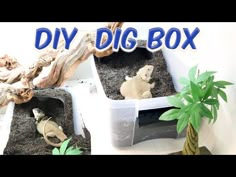 an image of diy dig box with plants and animals in it on the table