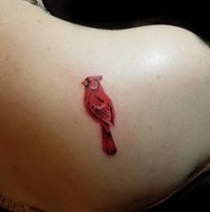 a red bird tattoo on the back of a woman's stomach