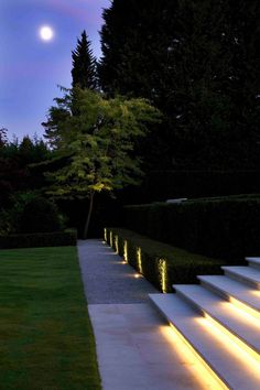 some steps lit up with lights in the grass