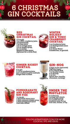 Christmas Gin Cocktails Holiday Gin And Tonic, Cranberry Gin Spritz, Vegan Christmas Cocktails, Gin Cocktails Winter, Christmas Gin And Tonic, Christmas Gin Cocktails Recipes, Red Christmas Cocktails, Gin Winter Cocktails, Christmas Gin Drinks