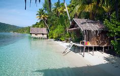 a hut on the shore of a tropical island with palm trees and clear blue water