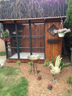 a chicken is standing in the yard next to a small table and potted plants