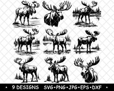 the moose and elk silhouettes are available for use in this graphic art workbook