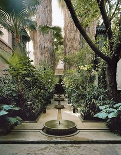 an outdoor fountain surrounded by trees and plants