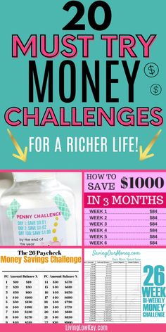 the 20 must try money challenge with text overlay