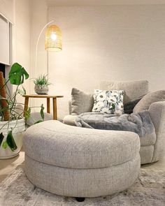 a living room filled with furniture and a potted plant