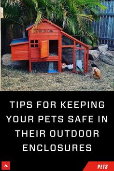 a chicken coop with the words tips for keeping your pets safe in their outdoor enclosures