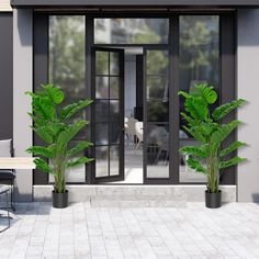 two potted plants in front of a glass door