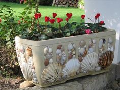 a planter with seashells and roses in it