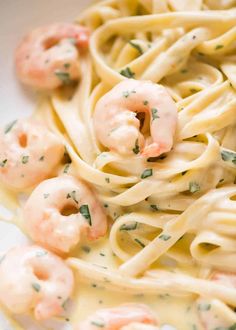 pasta with shrimp and parsley on top