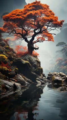 an orange tree sitting on top of a rocky hillside next to a body of water