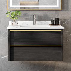 a bathroom vanity with a mirror above it and a potted plant on the counter