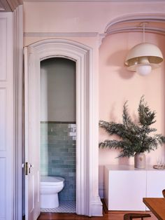 a white toilet sitting in a bathroom next to a tall plant on top of a wooden floor