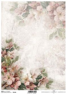 an old photo with flowers and leaves on the bottom right corner, in pastel tones