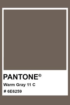 the pantone warm gray color is shown