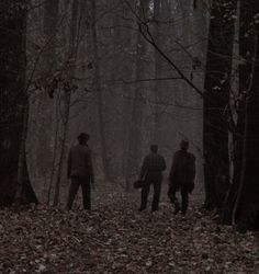 three people standing in the woods at night