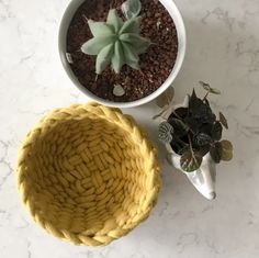 two potted plants sitting next to each other on a white counter top with a yellow basket