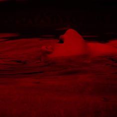 a polar bear swimming in the water with red light coming from its back paws and head