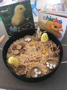 a black pan filled with lots of fake eggs and small chicks on top of it