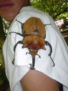 a close up of a person wearing a towel with a beetle on it