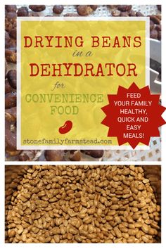 the benefits of dry beans in a dehydraator for convening food