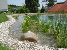 a small pond surrounded by rocks and grass