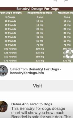 an info sheet showing the benefits of beady dogs