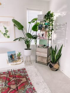 a living room filled with lots of plants next to a white rug and window sill