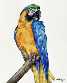 a painting of a blue and yellow parrot perched on a branch