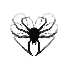 a black and white drawing of a spider