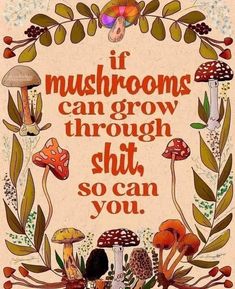 Fermented Mushrooms, Full Spectrum, Pretty Quotes, Meaningful Quotes, Wisdom Quotes, Cat Memes, Positive Affirmations, Inspire Me