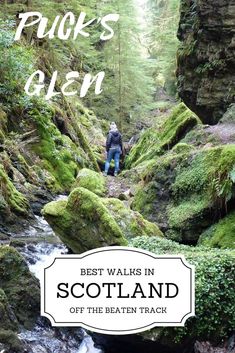 a person standing on the side of a river surrounded by green mossy rocks and trees