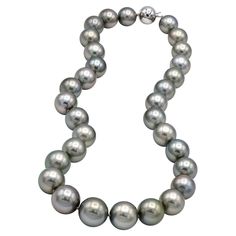 Style and glamour are in the spotlight with this exquisite tahitian pearl necklace. This 14-karat round cut necklace is made from 33 pearls with a solid white gold ball clasp. The size of the pearls is 10.7 - 14.2 mm. The length of this necklace is 17 inches. Rose Tiffany, Tahitian Pearl Necklace, In The Spotlight, Modern Necklaces, Tahitian Pearls, Rope Necklace, Tahiti, Round Cut, Pearl Necklace