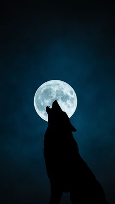 a wolf silhouetted against the night sky with its head turned to the right, looking up at the full moon