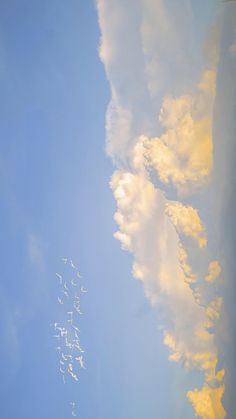 a flock of birds flying in the sky with clouds behind them and blue skies above