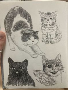 a person holding up a book with drawings of cats on it