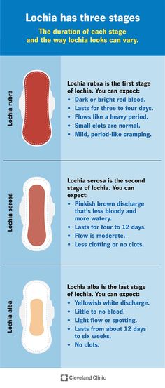 an info sheet with instructions on how to use toothpaste for teeth and gums