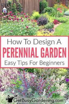 a garden with flowers and plants in the background text reads how to design a perennial garden easy tips for beginners