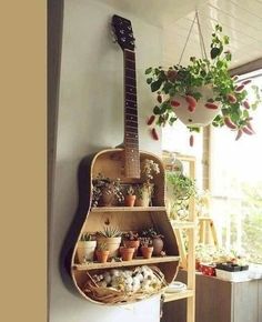 a guitar hanging on the wall next to a potted plant in a window sill