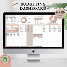 the budgeting dashboard is displayed on a computer screen and next to a potted plant