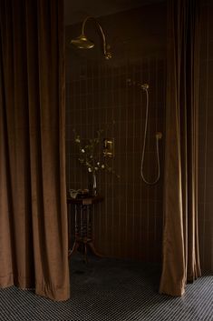 a bathroom with a shower head and curtained walls