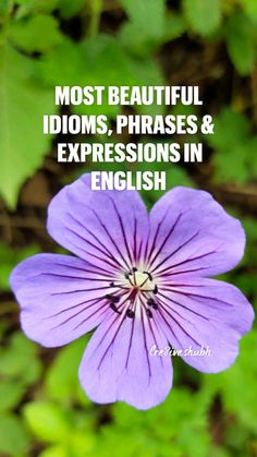 a purple flower with the words most beautiful idoms, phrases and expressions in english