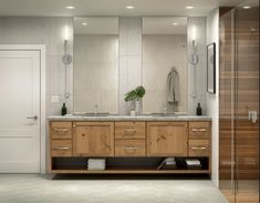 a bathroom with two sinks, mirrors and a plant in the middle of the room