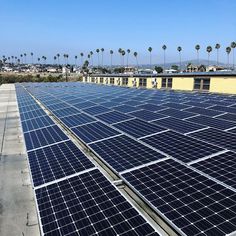 rows of solar panels on the roof of a building with palm trees in the background