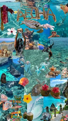 the collage is made up of many different pictures and words, including an ocean theme