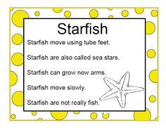 a starfish poster with words describing how to use it