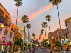 palm trees line the street in front of shops and restaurants at dusk, with people walking on the sidewalk