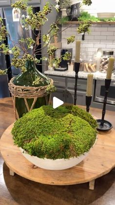 a table topped with a vase filled with green moss